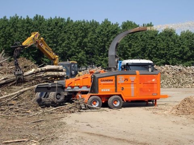 Gandini chipper Wood chopper & chipper