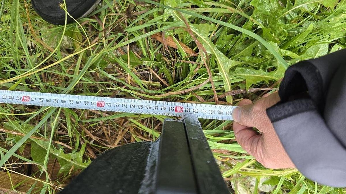 Abbruchsortiergreifer des Typs Mustang GRP1500 Abbruch- & Sortiergreifer, Neumaschine in Göpfritz an der Wild (Bild 6)