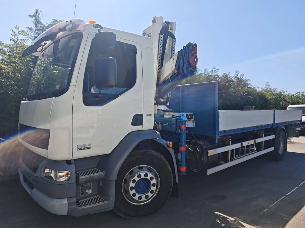 Abrollcontainer du type DAF LF55.250, Gebrauchtmaschine en Antwerpen (Photo 1)