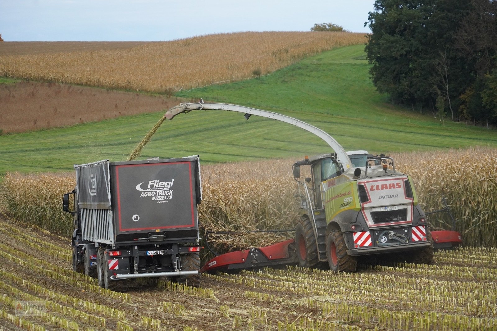 Abschiebewagen типа Fliegl ASS 298, Gebrauchtmaschine в Riedhausen (Фотография 5)