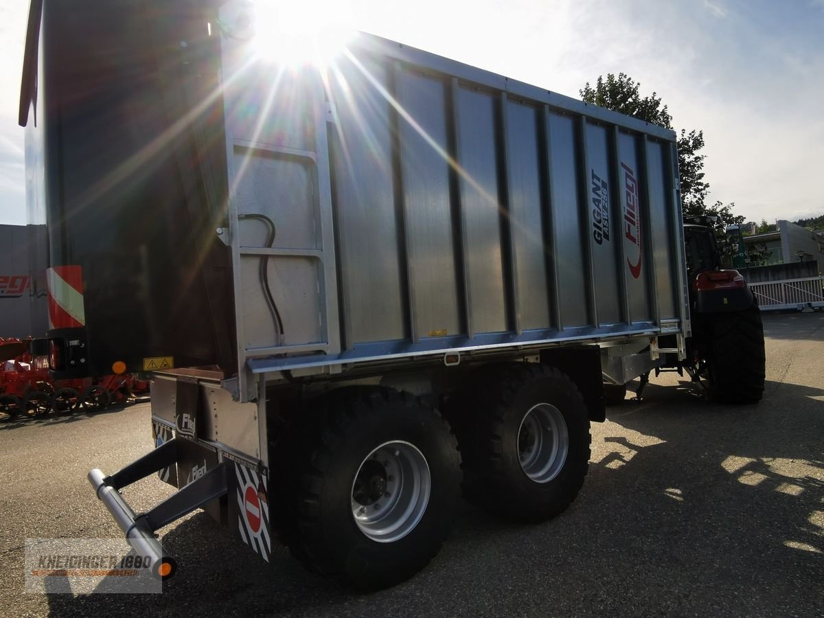 Abschiebewagen типа Fliegl ASW 256 Fox, Neumaschine в Altenfelden (Фотография 9)