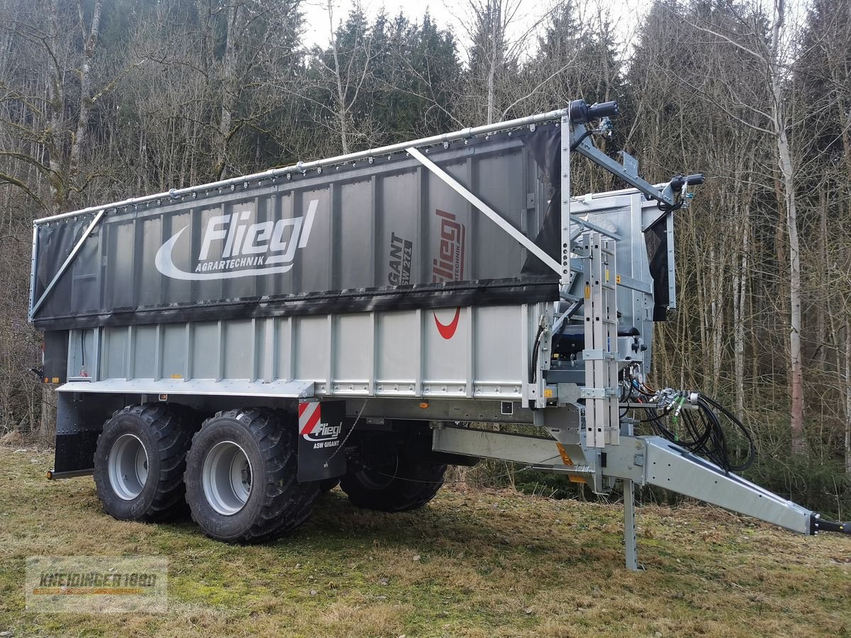 Abschiebewagen del tipo Fliegl ASW 271 Gigant, Neumaschine In Altenfelden (Immagine 14)