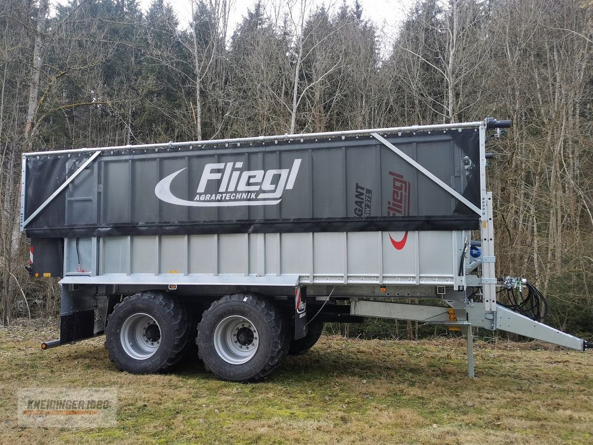 Abschiebewagen del tipo Fliegl ASW 271 Gigant, Neumaschine In Altenfelden (Immagine 12)