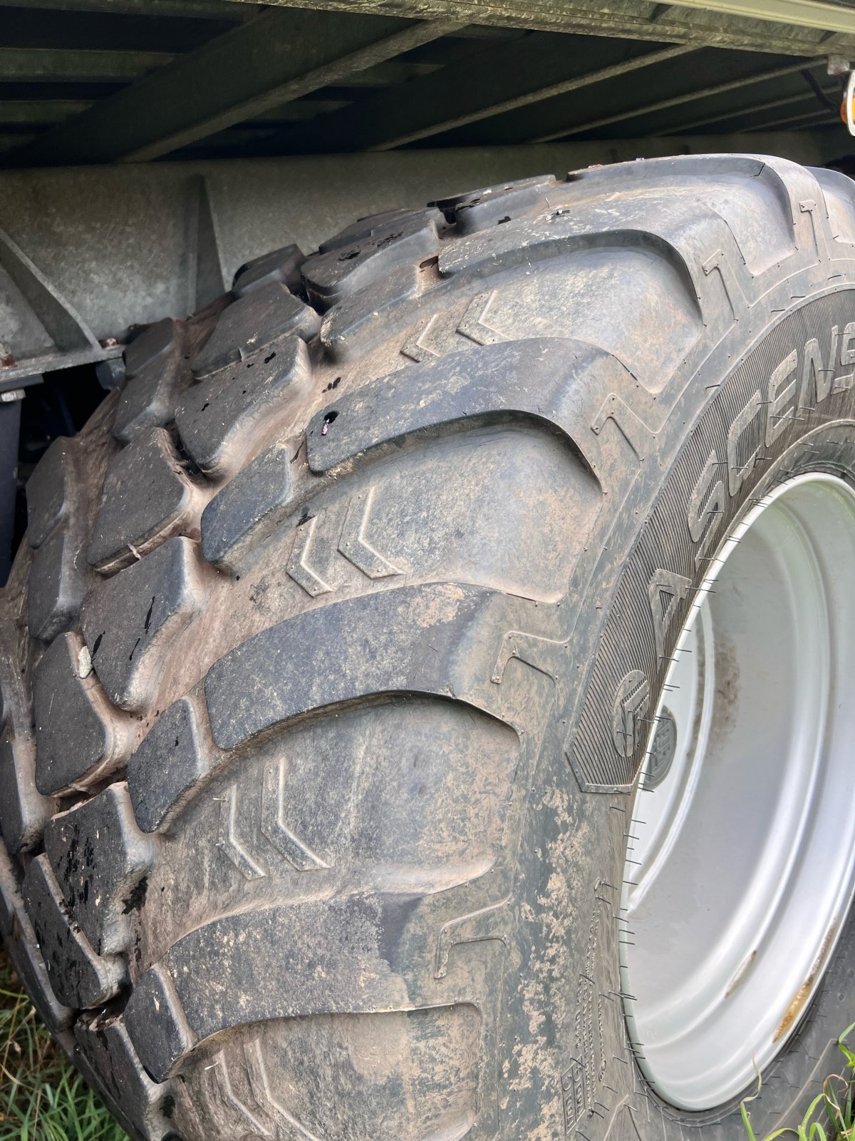 Abschiebewagen des Typs Fliegl ASW 391 Taurus Fox, Gebrauchtmaschine in Alteglofsheim (Bild 2)