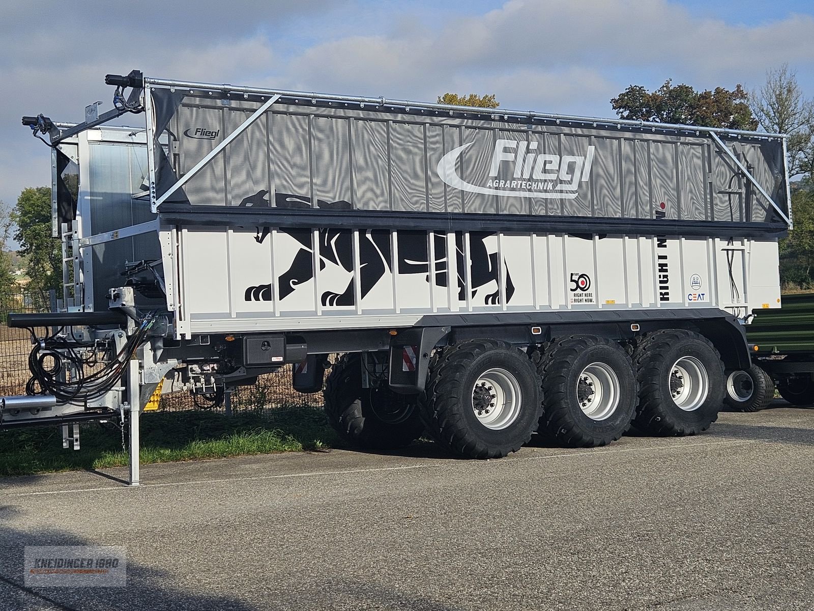 Abschiebewagen typu Fliegl ASW 391 Taurus, Gebrauchtmaschine v Altenfelden (Obrázek 4)