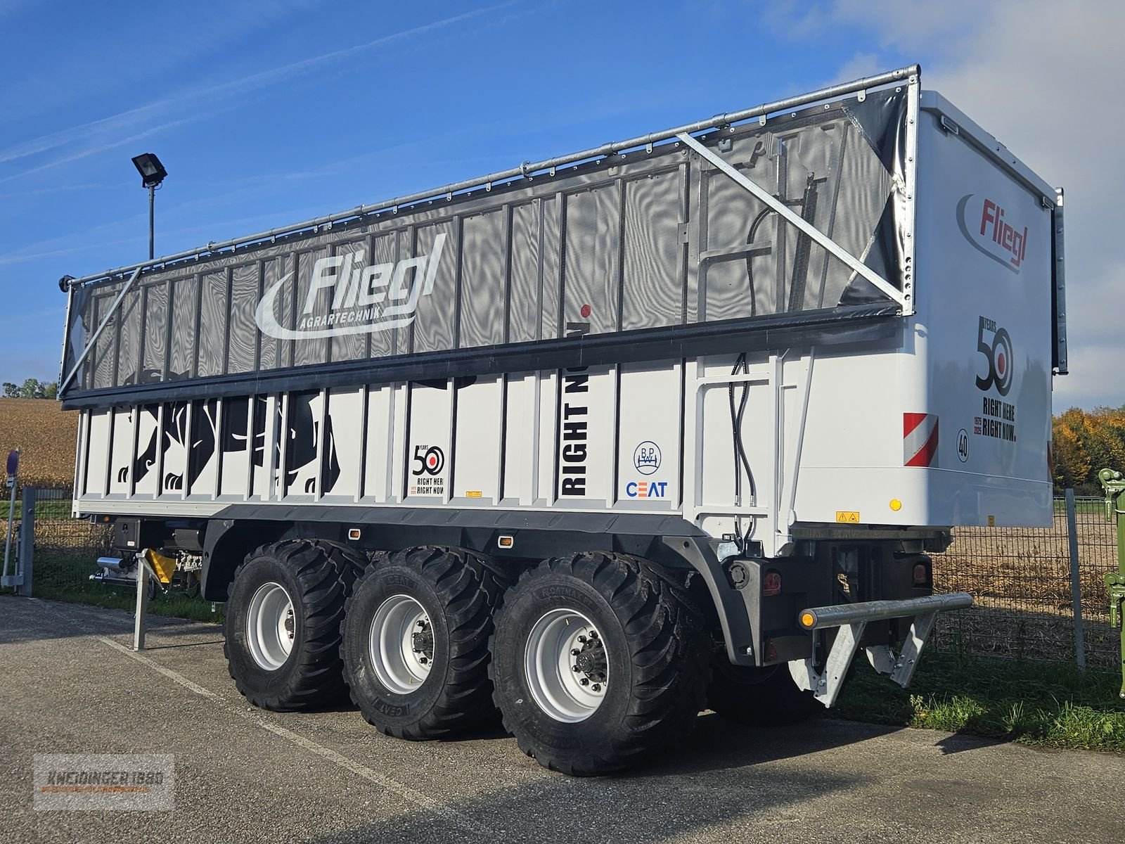 Abschiebewagen typu Fliegl ASW 391 Taurus, Gebrauchtmaschine v Altenfelden (Obrázek 10)