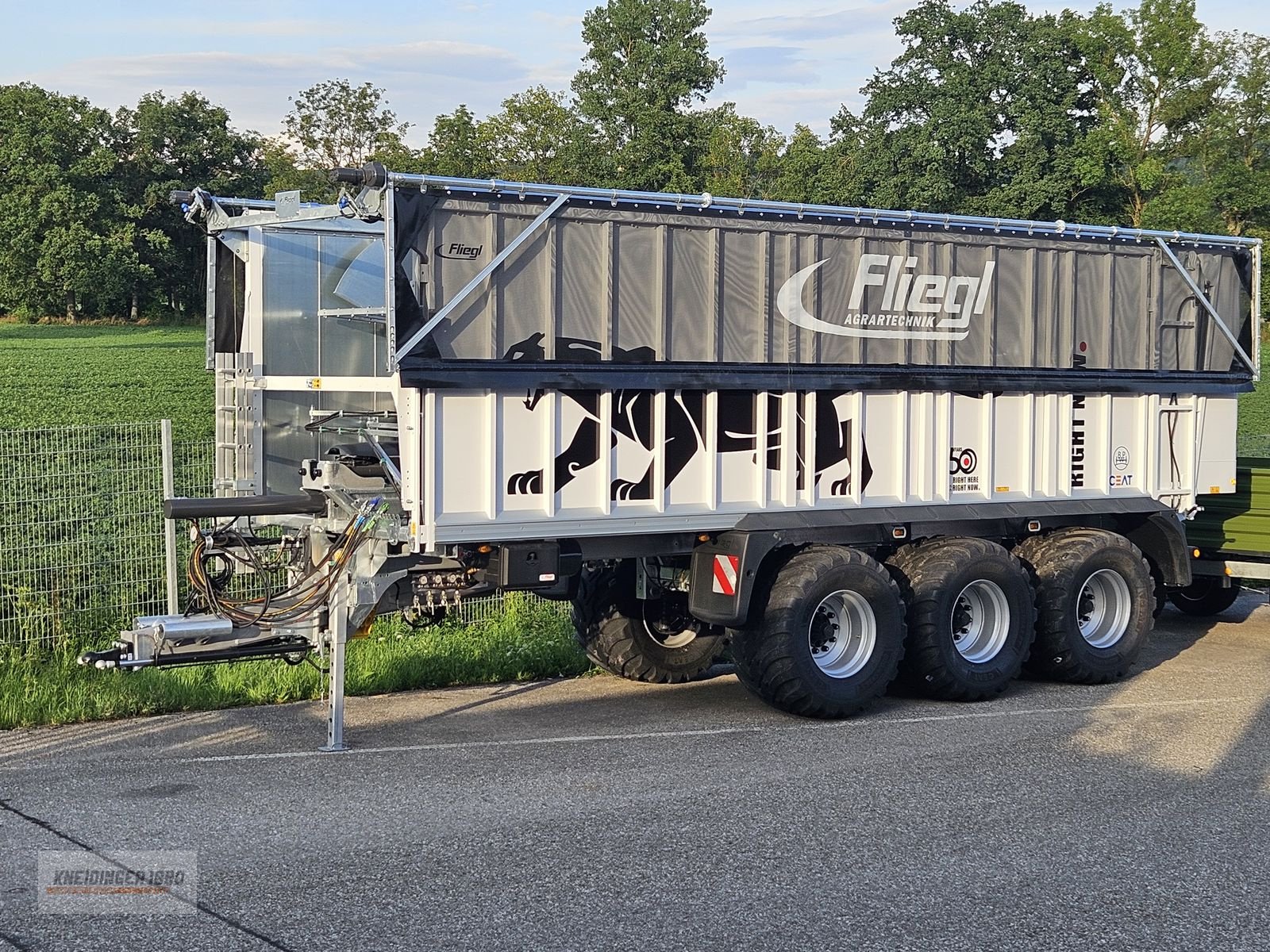 Abschiebewagen typu Fliegl ASW 391 Taurus, Gebrauchtmaschine v Altenfelden (Obrázek 1)