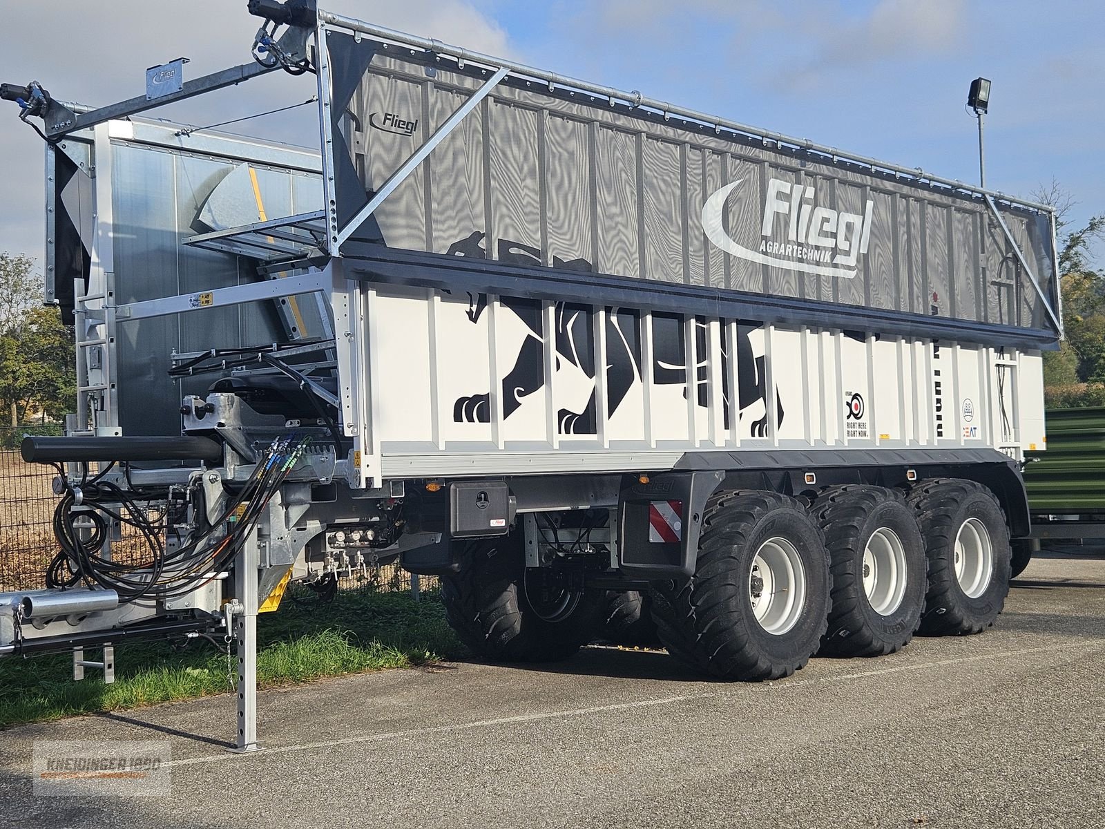 Abschiebewagen typu Fliegl ASW 391 Taurus, Gebrauchtmaschine v Altenfelden (Obrázek 2)