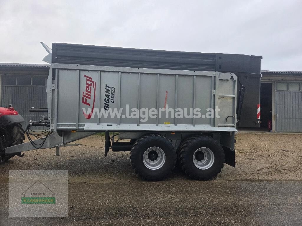 Abschiebewagen του τύπου Fliegl GIGANT ASW 160, Gebrauchtmaschine σε Amstetten (Φωτογραφία 3)
