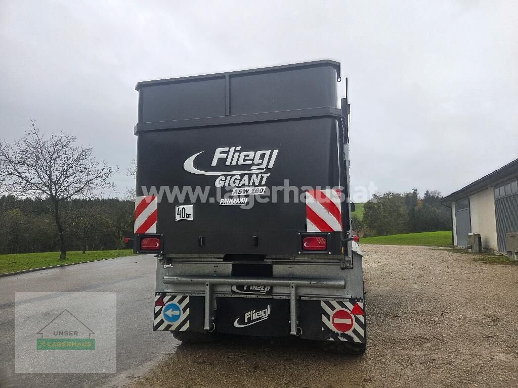 Abschiebewagen του τύπου Fliegl GIGANT ASW 160, Gebrauchtmaschine σε Amstetten (Φωτογραφία 10)