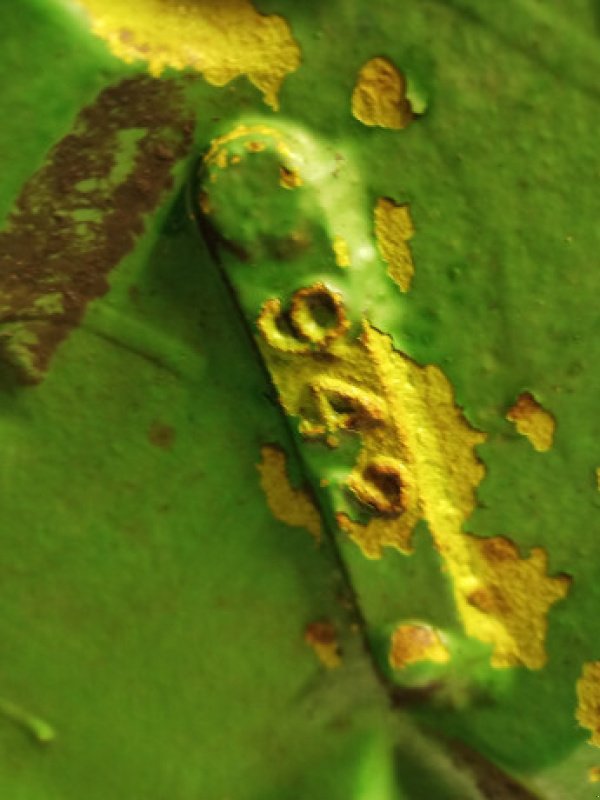 Achsen & Lenkung des Typs John Deere 4040, Gebrauchtmaschine in Hemmet (Bild 10)