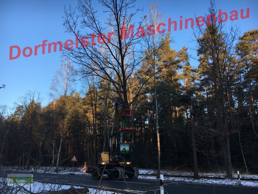 Aggregat & Anbauprozessor des Typs Dorfmeister Fällgreifer Baumschere HBS 350, Neumaschine in Roßbach (Bild 15)