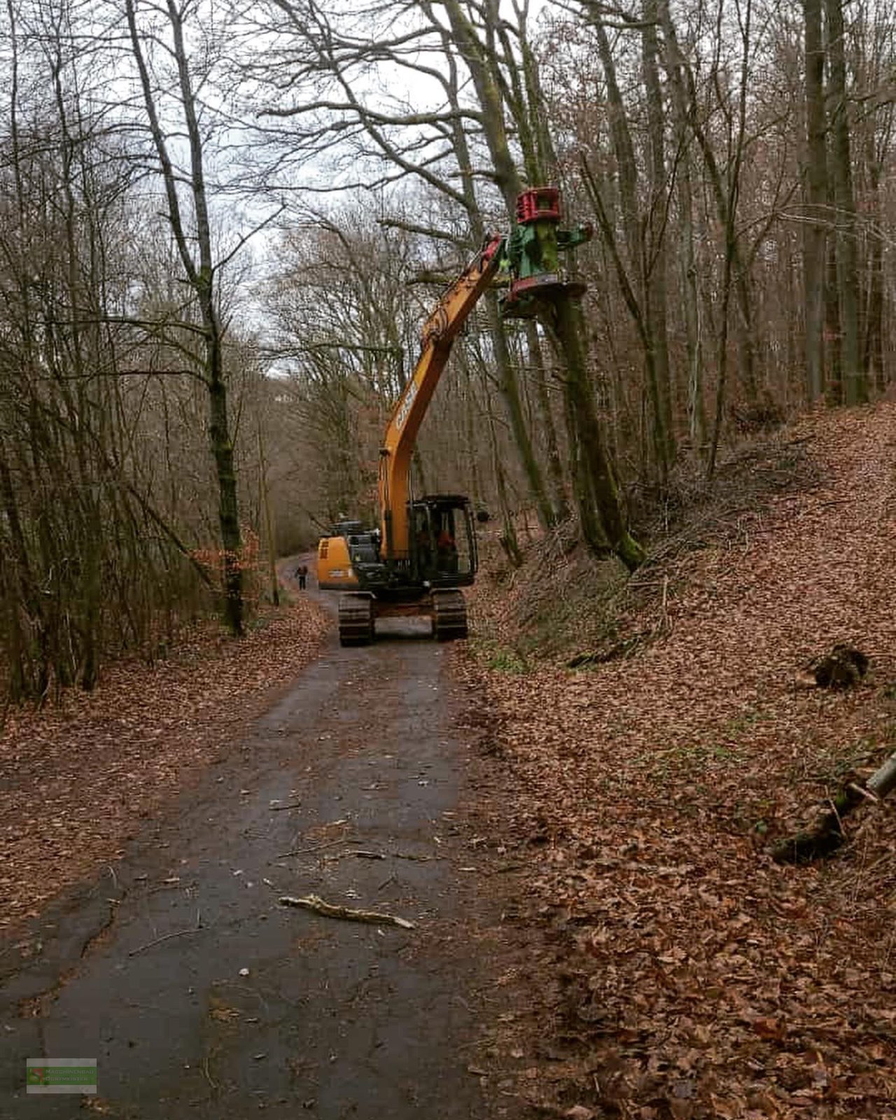 Aggregat & Anbauprozessor des Typs Dorfmeister HBS 450 Fällgreifer Baumschere, Neumaschine in Roßbach (Bild 8)