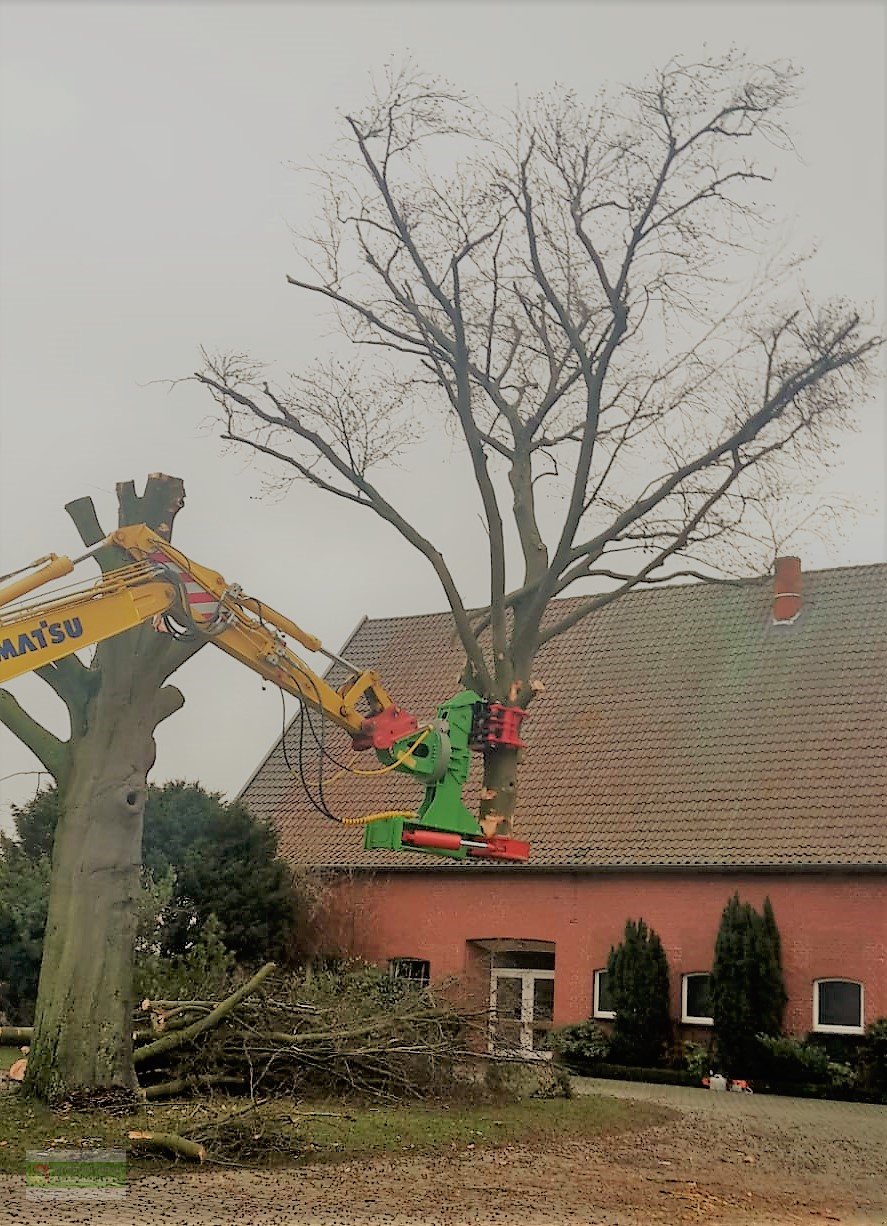 Aggregat & Anbauprozessor des Typs Dorfmeister HBS 450 Fällgreifer Baumschere, Neumaschine in Roßbach (Bild 13)