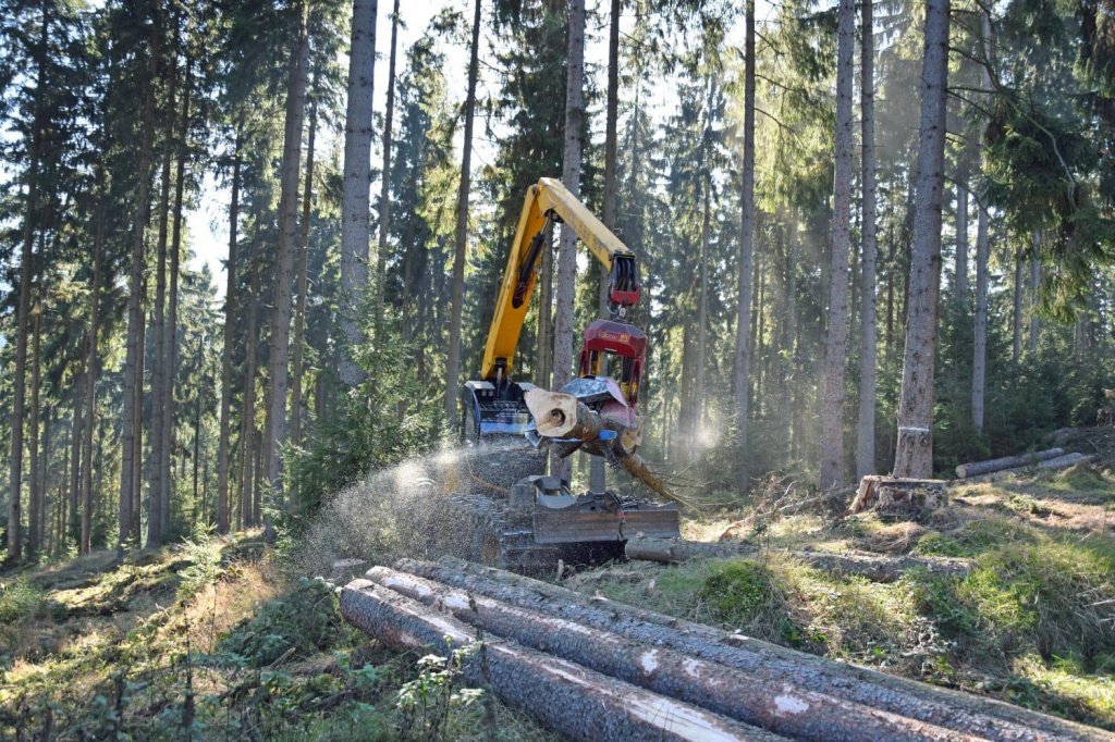 Aggregat & Anbauprozessor des Typs Konrad Forsttechnik Highlander 6WD Harvester, Neumaschine in Hutthurm (Bild 5)