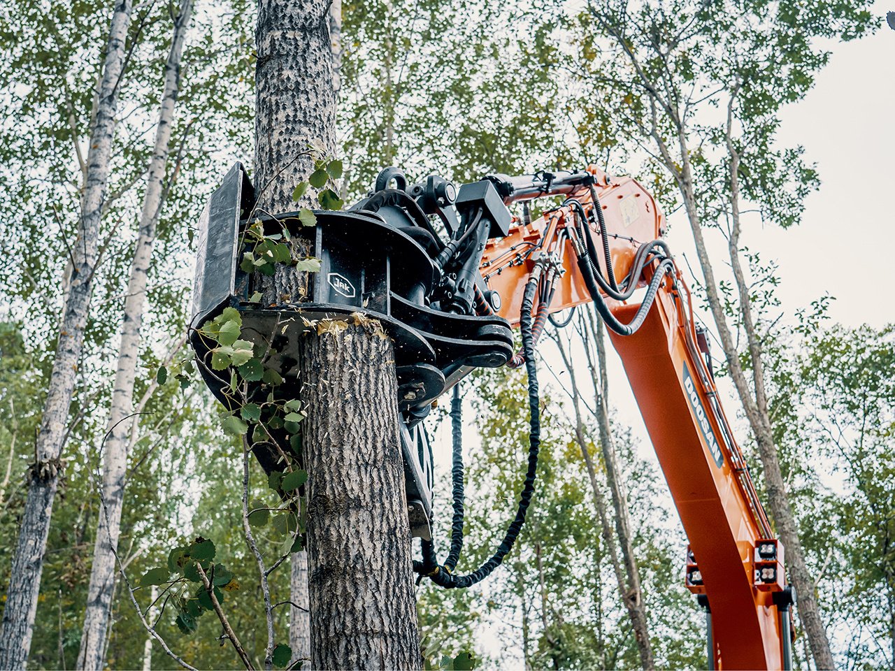 Aggregat & Anbauprozessor типа Reil & Eichinger Fällgreifer JAK 300 C für Bagger, Neumaschine в Nittenau (Фотография 7)
