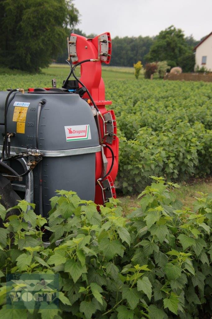 Anbau-Gebläsespritze des Typs DRAGONE TAV 500 DP Gebläsespritze /Sprühgerät für Obst- und Weinbau, Neumaschine in Schmallenberg (Bild 4)
