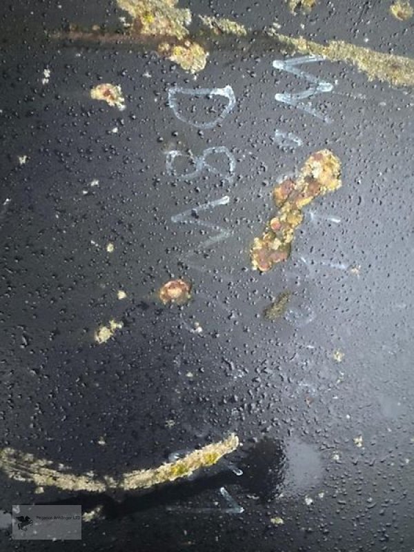 Anbaugerät типа Sonstige BMO Baggerlöffel Sieblöffel 1,4m verachtert CW 20 CW 30 CW 40, Gebrauchtmaschine в Gevelsberg (Фотография 5)