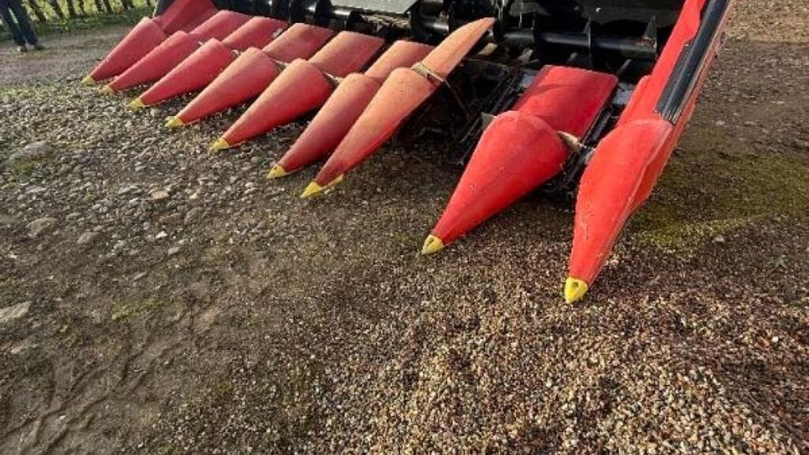 Anbauhäcksler & Anhängehäcksler of the type Geringhoff 8 Rækket, Gebrauchtmaschine in Rødovre (Picture 3)