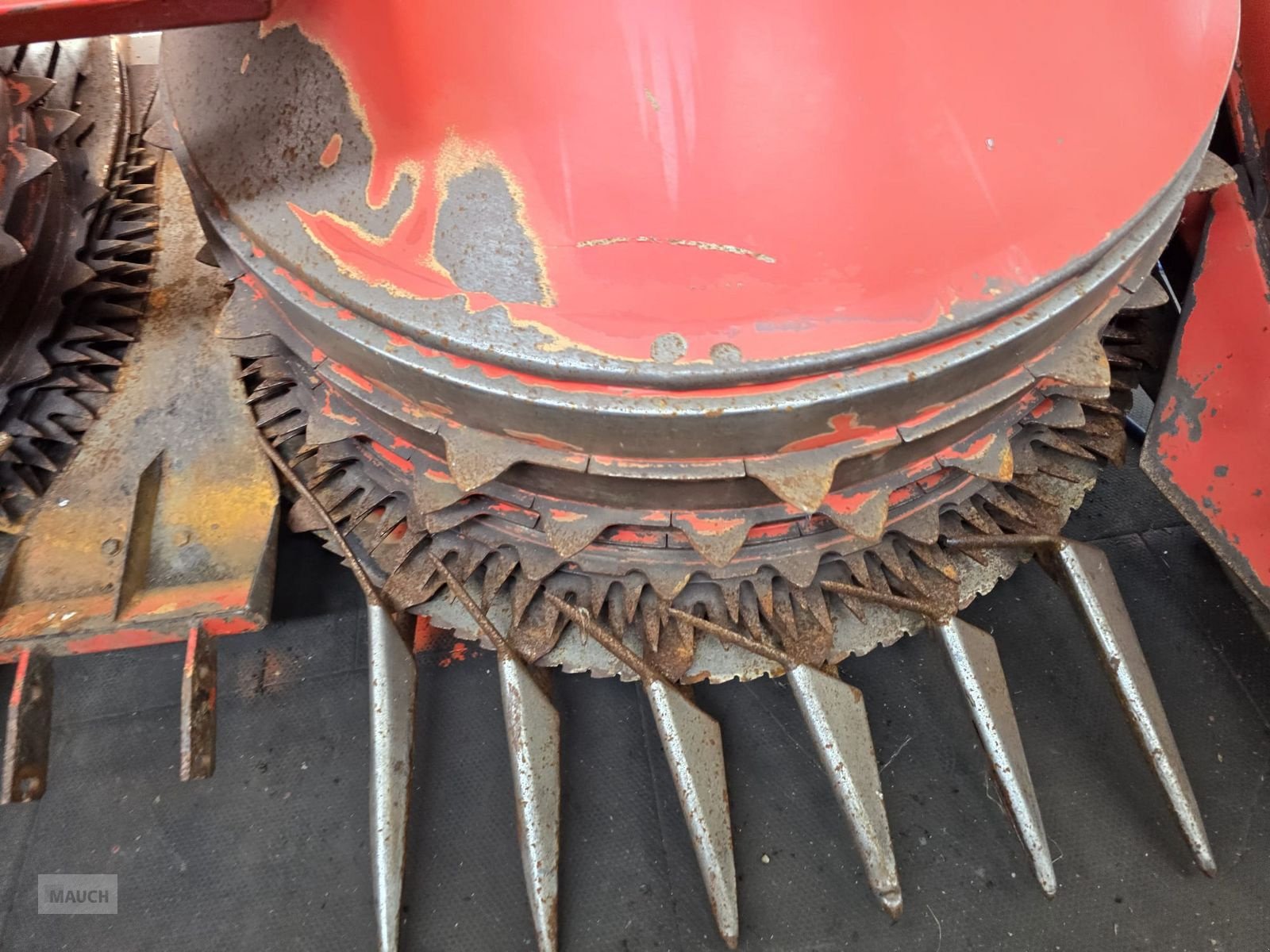 Anbauhäcksler & Anhängehäcksler типа Kemper Champion 3000, Gebrauchtmaschine в Burgkirchen (Фотография 4)