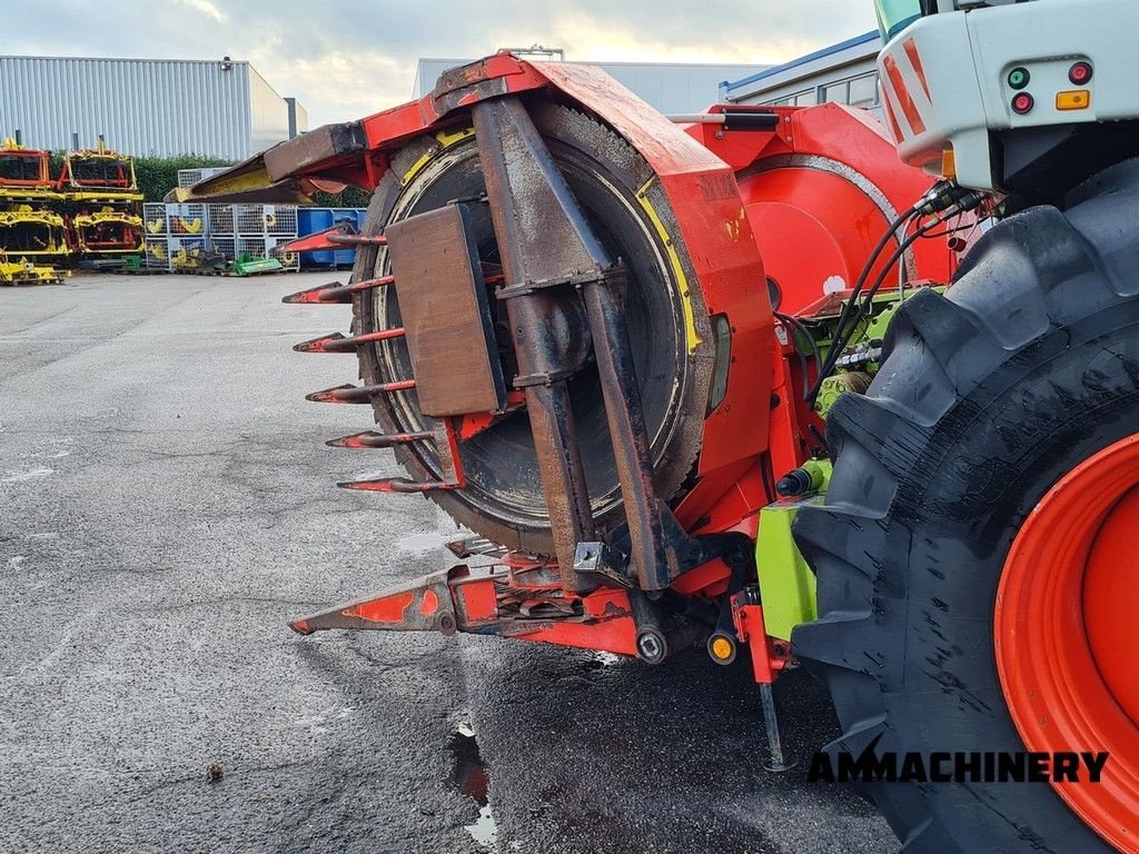 Anbauhäcksler & Anhängehäcksler typu Kemper rotary corn header, Gebrauchtmaschine v Horst (Obrázek 9)