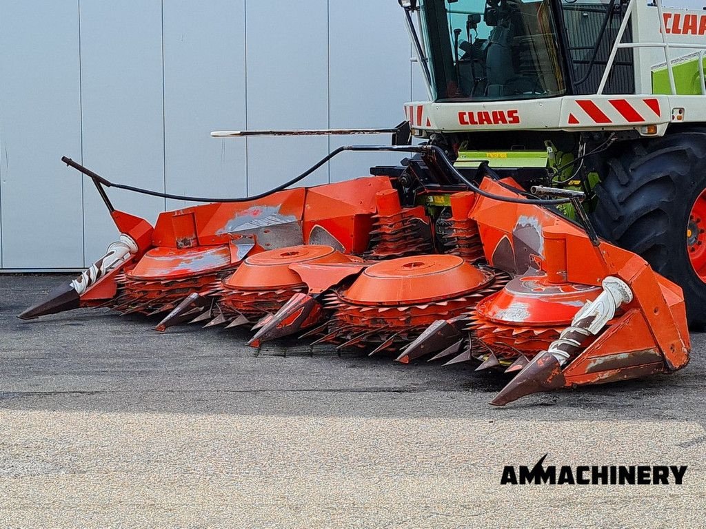 Anbauhäcksler & Anhängehäcksler du type Kemper rotary corn header, Gebrauchtmaschine en Horst (Photo 1)