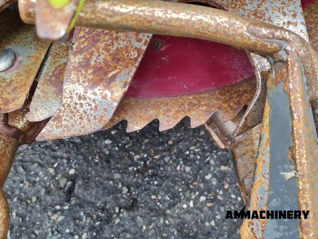 Anbauhäcksler & Anhängehäcksler του τύπου Sonstige Claas Orbis 450 rotary corn header, Gebrauchtmaschine σε Horst (Φωτογραφία 7)