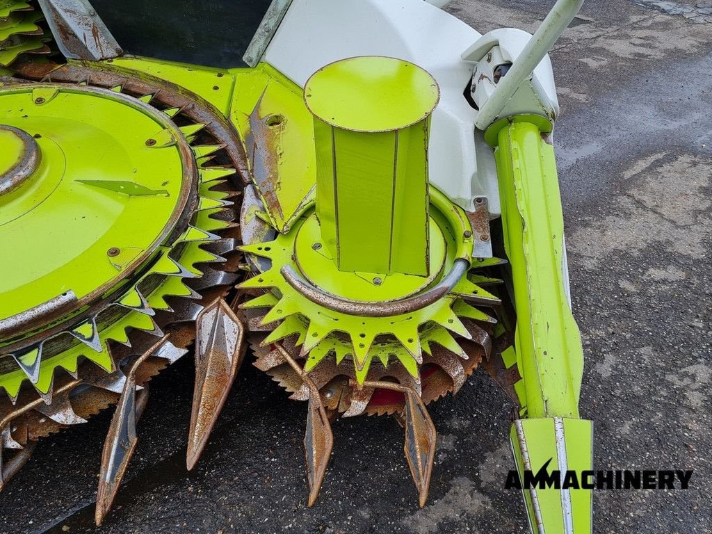 Anbauhäcksler & Anhängehäcksler του τύπου Sonstige Claas Orbis 450 rotary corn header, Gebrauchtmaschine σε Horst (Φωτογραφία 5)