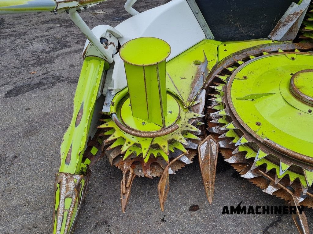 Anbauhäcksler & Anhängehäcksler του τύπου Sonstige Claas Orbis 450 rotary corn header, Gebrauchtmaschine σε Horst (Φωτογραφία 10)