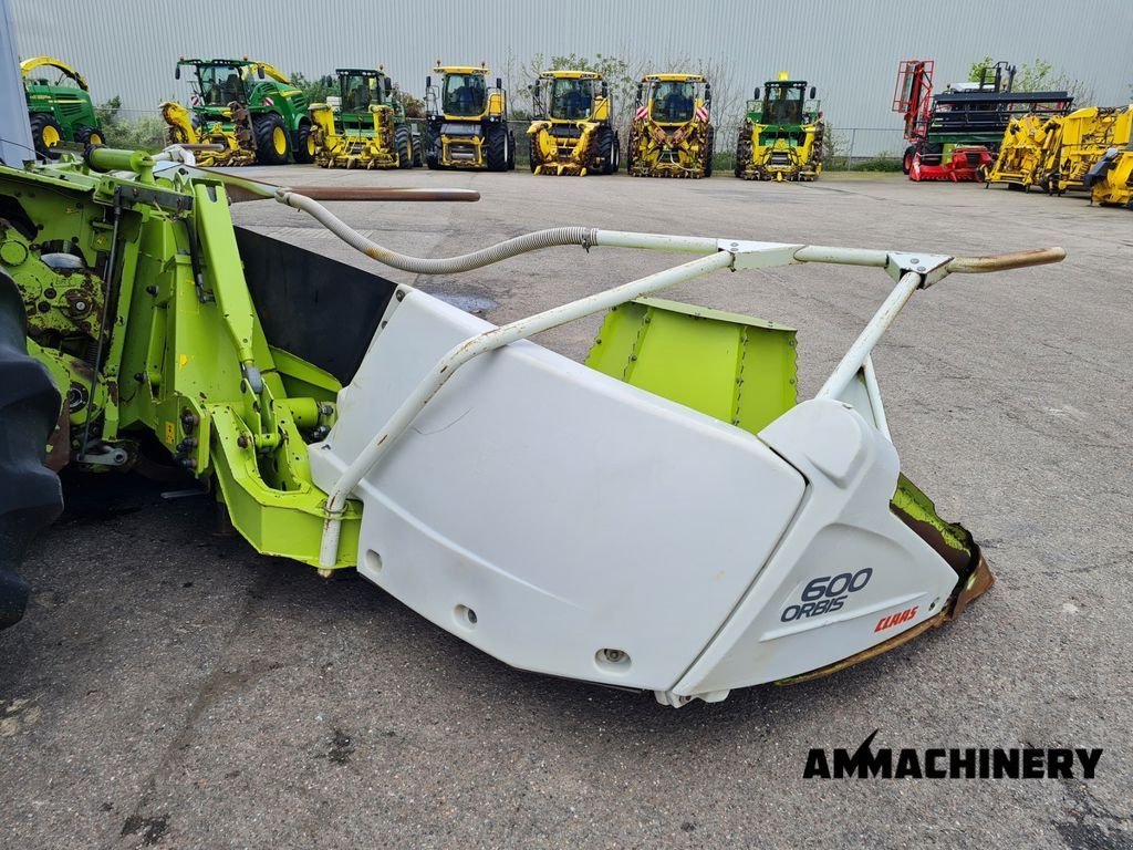 Anbauhäcksler & Anhängehäcksler типа Sonstige Claas ORBIS 600, Gebrauchtmaschine в Horst (Фотография 2)