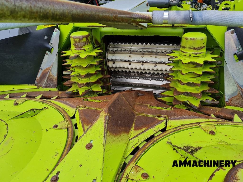 Anbauhäcksler & Anhängehäcksler tipa Sonstige Claas Orbis 600SD rotary corn header, Gebrauchtmaschine u Horst (Slika 9)
