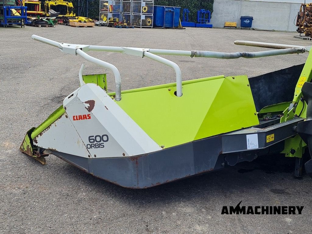 Anbauhäcksler & Anhängehäcksler tipa Sonstige Claas Orbis 600SD rotary corn header, Gebrauchtmaschine u Horst (Slika 4)
