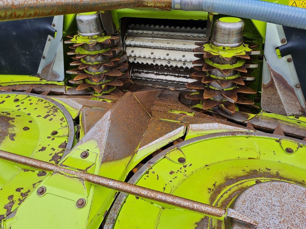 Anbauhäcksler & Anhängehäcksler typu Sonstige Claas Orbis 600SD rotary corn header, Gebrauchtmaschine w Horst (Zdjęcie 9)