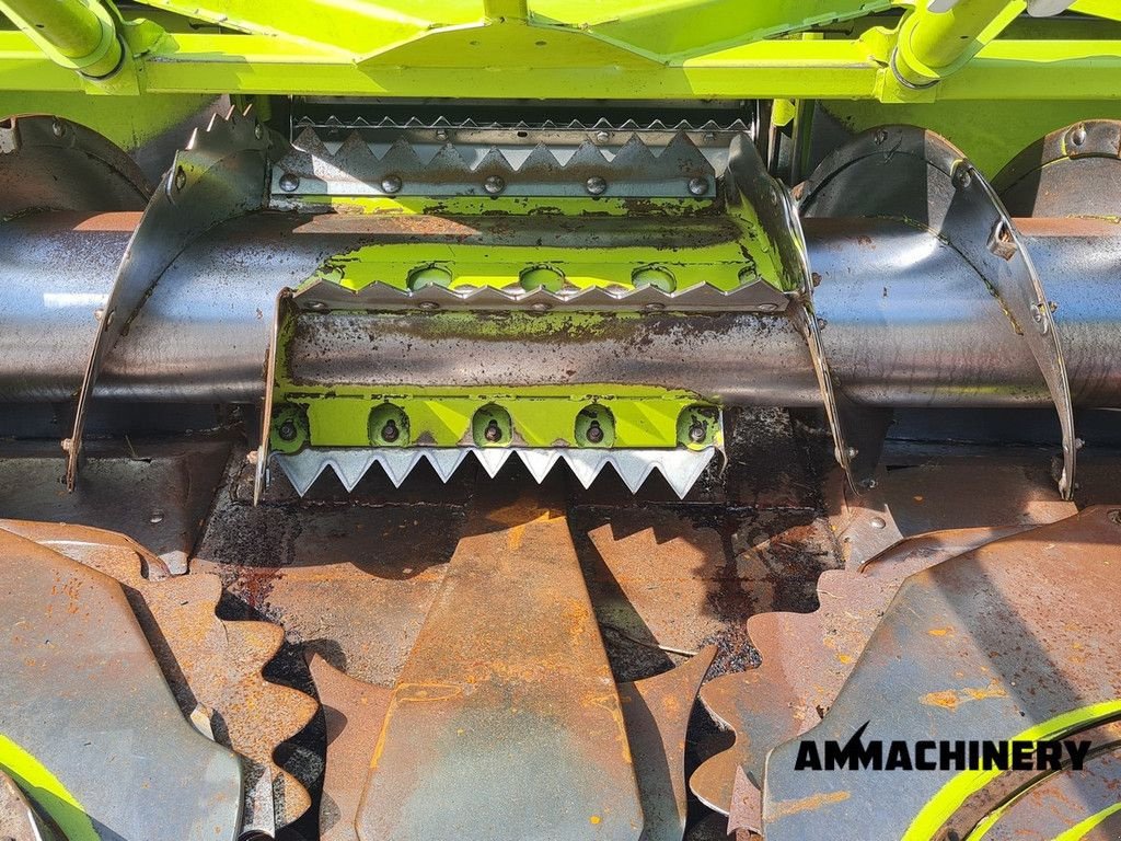 Anbauhäcksler & Anhängehäcksler of the type Sonstige Claas RU600Xtra autocontour, Gebrauchtmaschine in Horst (Picture 9)