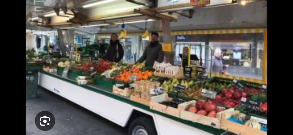 Anhänger des Typs Nissan Zugfahrzeug Nissan N400, Gebrauchtmaschine in Avenches (Bild 10)