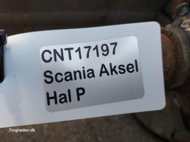 Anhänger des Typs Sonstige BPW, Gebrauchtmaschine in Hemmet (Bild 21)