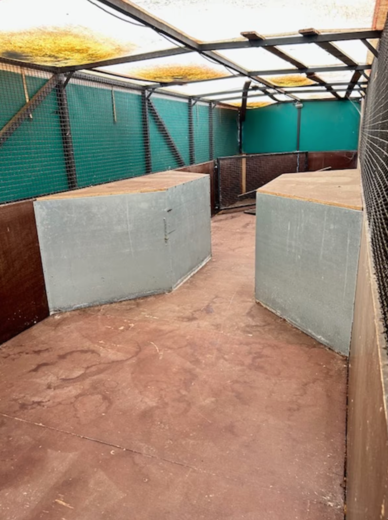 Anhänger typu Umstallanhänger Eigenbau, Gebrauchtmaschine v Großenkneten (Obrázek 2)