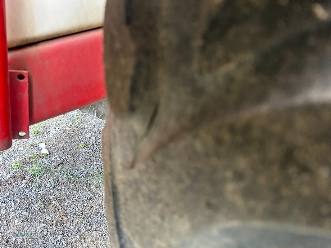 Anhängespritze of the type Holder IN 250, Gebrauchtmaschine in Groß Munzel (Picture 4)