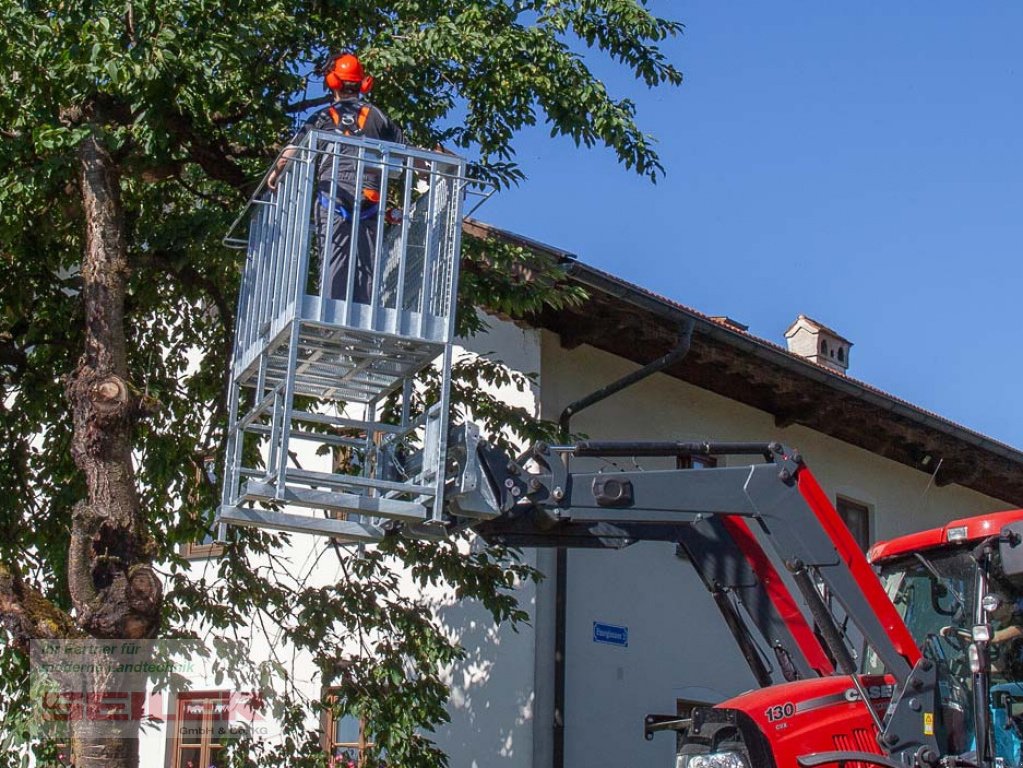 Arbeitsbühne des Typs Fliegl Arbeitsbühne HOCH mit Euro-Aufnahme, Neumaschine in Ansbach (Bild 2)