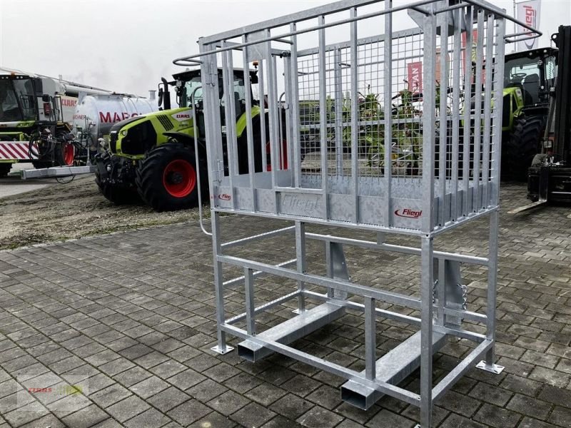 Arbeitsbühne tipa Fliegl HOCH EINSTIEG SEITLICH, Neumaschine u Mengkofen (Slika 2)