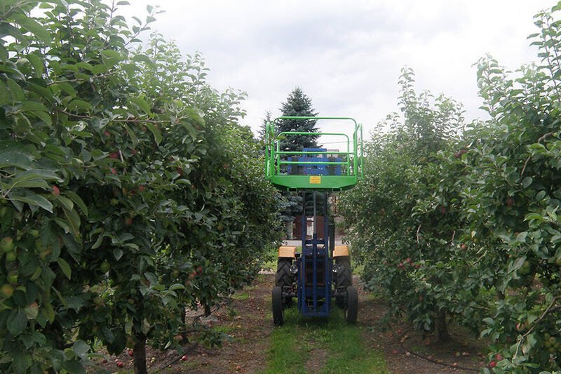 Arbeitsbühne des Typs Wodzinski Hebebühne / orchard balcony, Neumaschine in Michałowo (Bild 3)