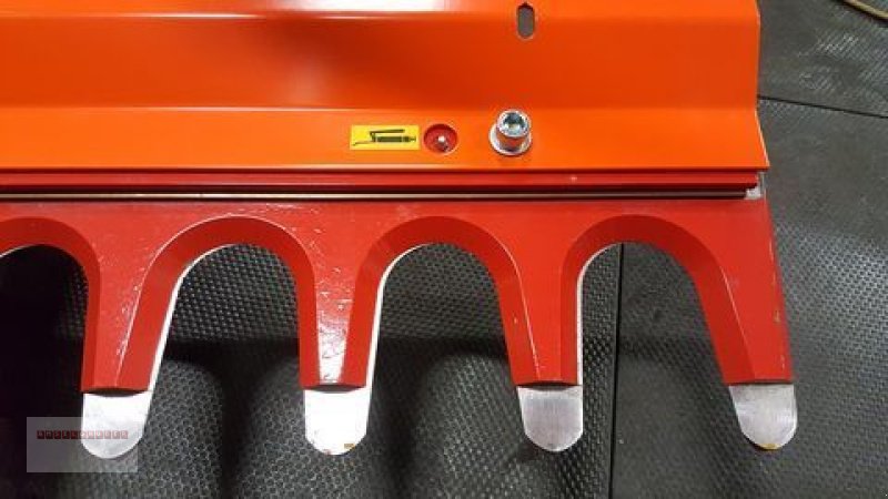 Astschere des Typs Dominator Astschere  220/10 bis 10 cm Aststärke TOP, Gebrauchtmaschine in Tarsdorf (Bild 5)