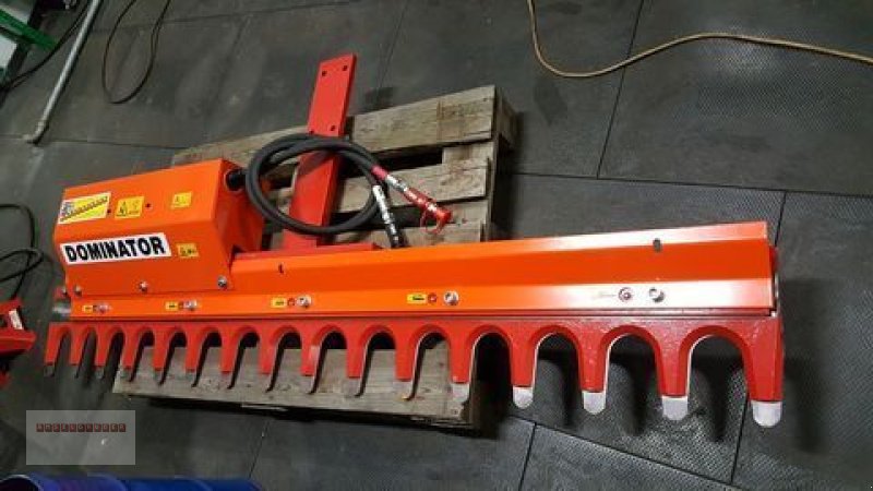 Astschere des Typs Dominator Astschere  220/10 bis 10 cm Aststärke TOP, Gebrauchtmaschine in Tarsdorf (Bild 2)