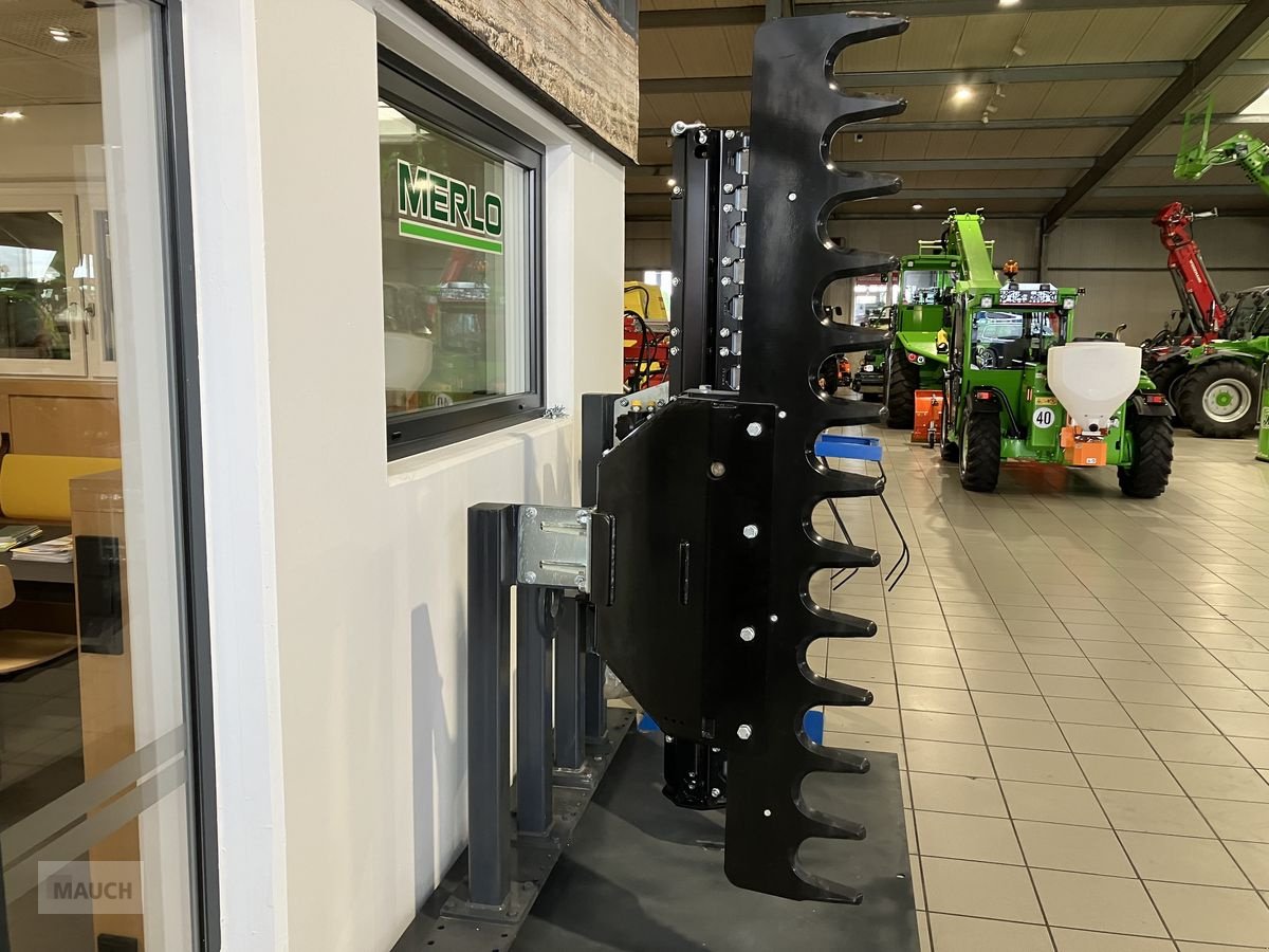 Astschere des Typs Greentec Astschere HX 170, Neumaschine in Burgkirchen (Bild 2)