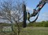Astschere του τύπου Greentec HX 230 Astschere für Bagger /Radlader /Traktor-Aktionsangebot, Neumaschine σε Schmallenberg (Φωτογραφία 7)