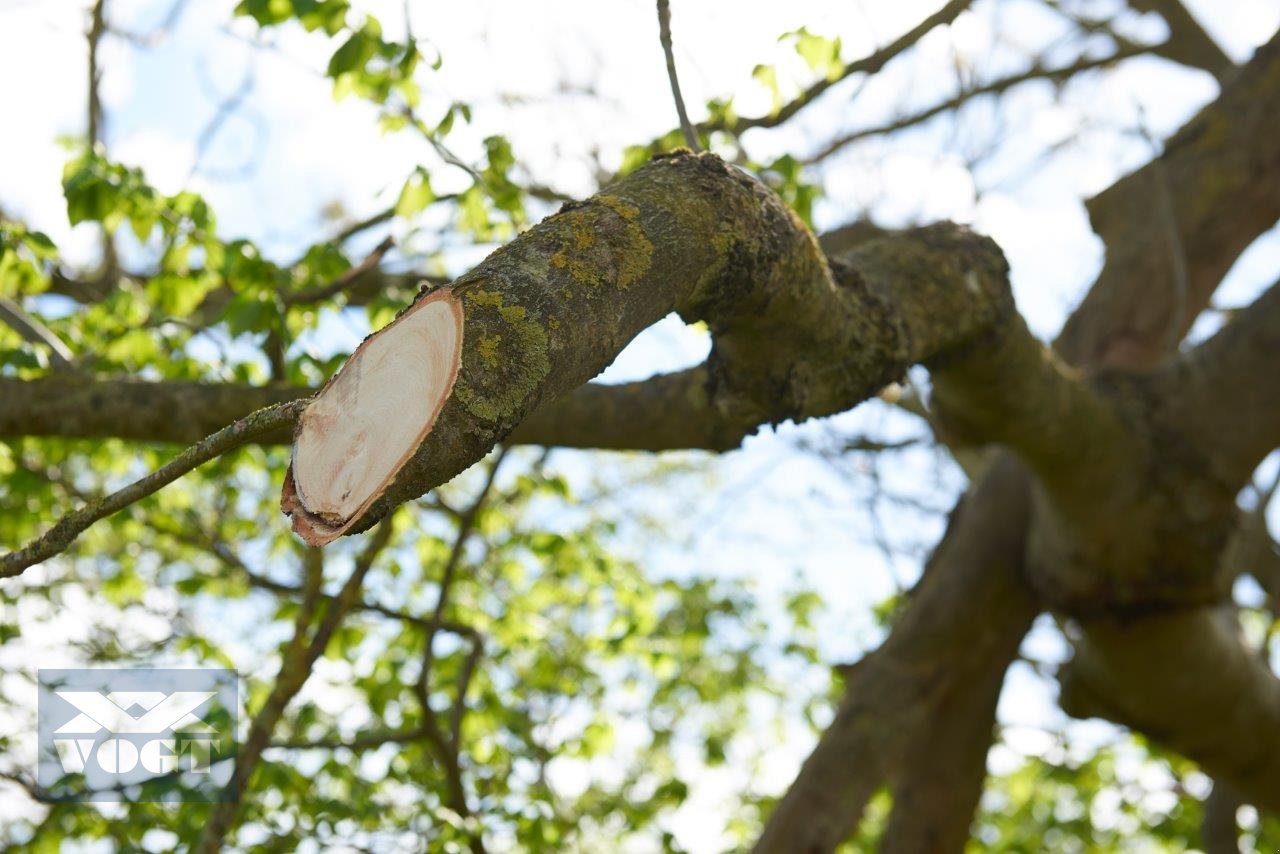 Astschere του τύπου Greentec LRS 1602 Astsäge für Ausleger /Bagger /Radlader /Traktor, Neumaschine σε Schmallenberg (Φωτογραφία 7)