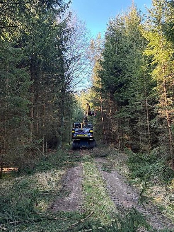 Astschere του τύπου Omarv Baumsäge Astsäge Heckensäge Astschere Heckenschere, Gebrauchtmaschine σε Schmallenberg (Φωτογραφία 4)