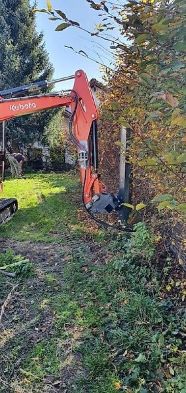 Astschere του τύπου Sonstige Astschere Baumschere Heckenschere Baumsäge, Gebrauchtmaschine σε Schmallenberg (Φωτογραφία 5)