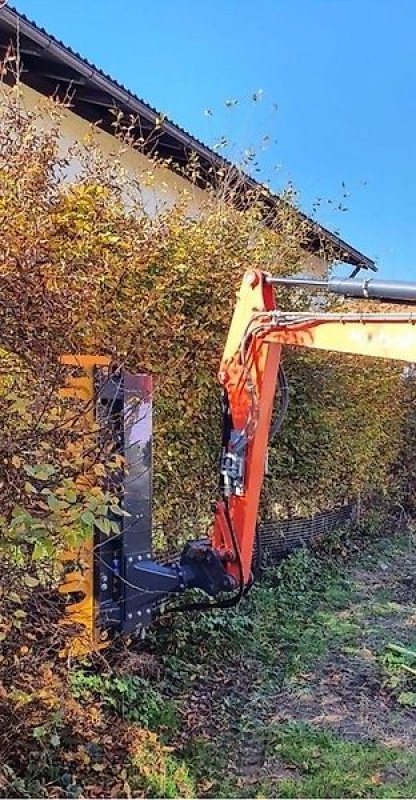 Astschere του τύπου Sonstige Astschere Baumschere Heckenschere Baumsäge, Gebrauchtmaschine σε Schmallenberg (Φωτογραφία 4)