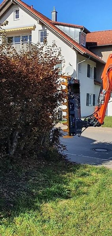 Astschere του τύπου Sonstige Astschere Baumschere Heckenschere Baumsäge, Gebrauchtmaschine σε Schmallenberg (Φωτογραφία 2)